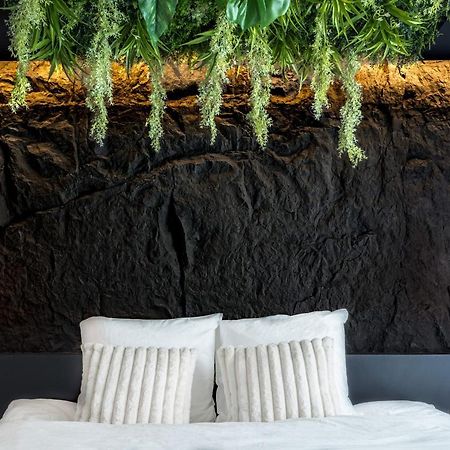 شقة Le Petit Luxe - Hypercentre, Cinema, King Size تروي المظهر الخارجي الصورة